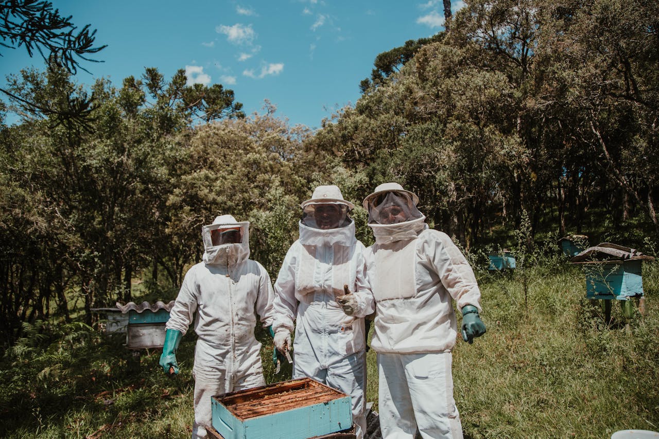 gallery-2 Three beekeepers in protective gear tending hives in a sunny forest apiary.