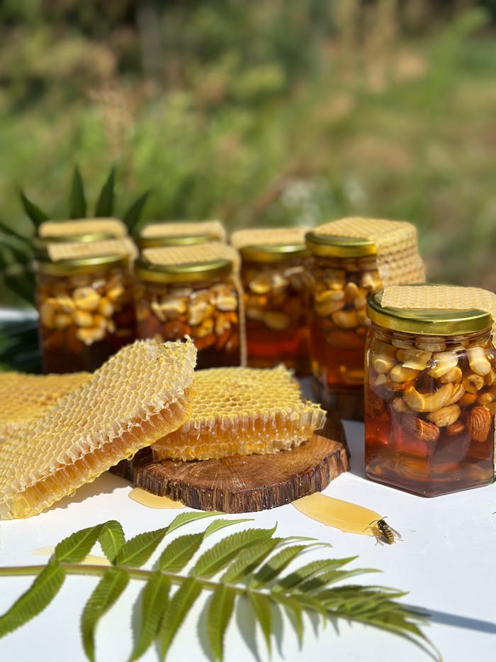 Golden honey jars with almonds and hazelnuts next to fresh honeycomb in a sunny outdoor setting.