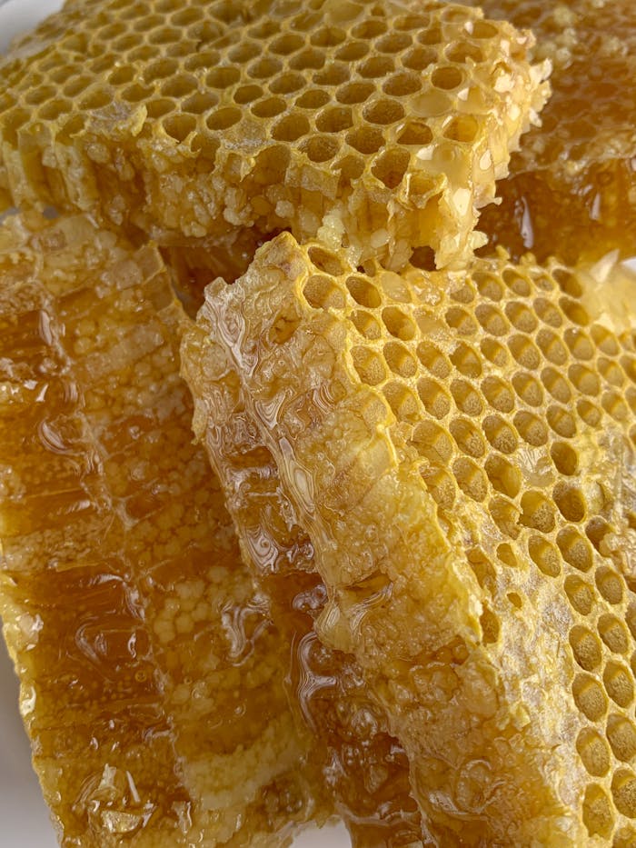 pexels-photo-8105066 Detailed macro shot of fresh honeycomb dripping with golden honey, showcasing natural sweetness.